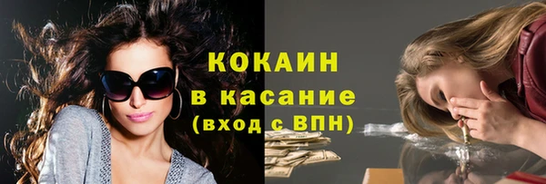 стаф Каменка