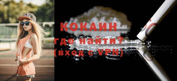 стаф Каменка
