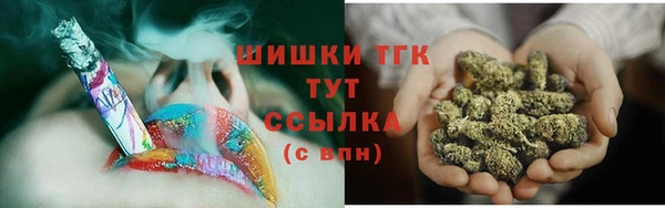 стаф Каменка