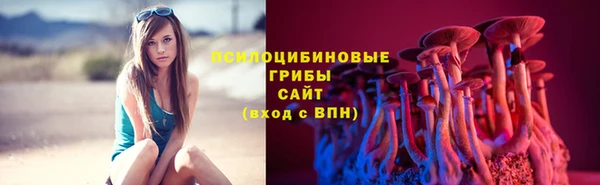 стаф Каменка