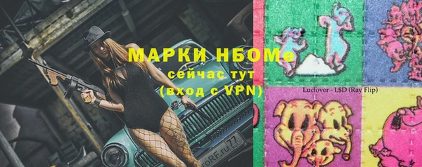 стаф Каменка