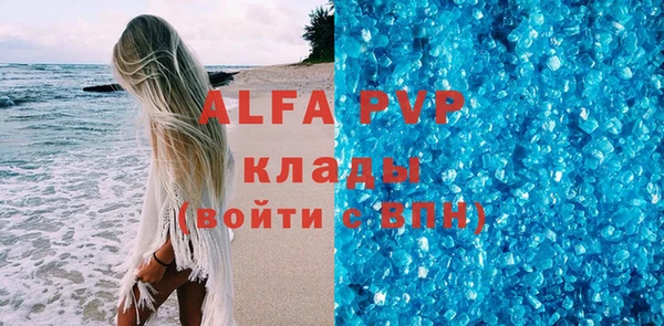 стаф Каменка