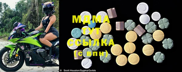 стаф Каменка