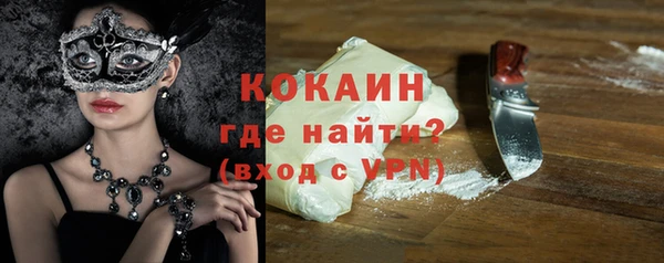 стаф Каменка