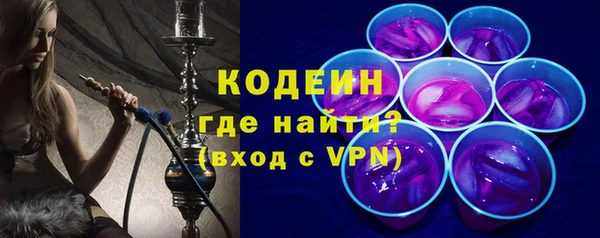 стаф Каменка