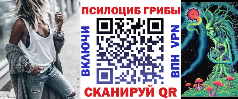Галлюциногенные грибы GOLDEN TEACHER  Купить  Фатеж 